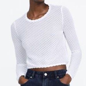Zara Knit Top